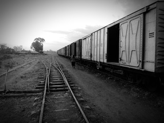 Naklejka na ściany i meble Rear View Of Woman Walking By Freight Train