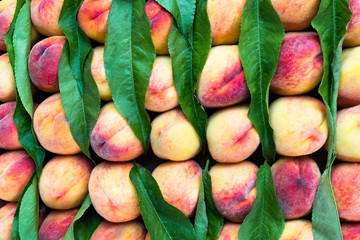 bright nectarines in the market
