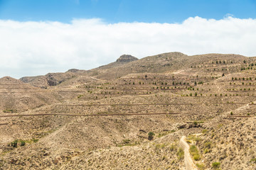 Fototapeta na wymiar Beautiful deserted Tunisian rural landscape.