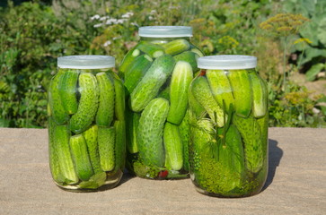 Jars of pickled cucumbers on the table in the garden