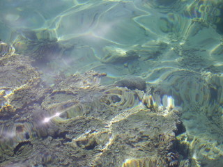 Texture sea with a fishs under water