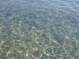 Water sea texture with fishs and sea's grunt