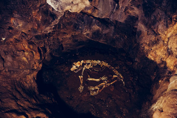 Baraceve Spilje, Croatia.  A cave that has the remains of an ancient bear.
