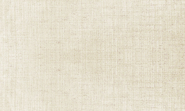 FOND TISSU