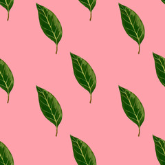 Seamless pattern and avocado leaf isolated on pink background. Hand drawn square illustration of avocado leaf in realistic style.