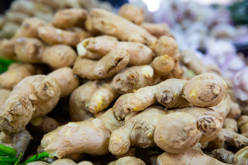 Fresh ginger root on showcase of greengrocery shop for sale to customers