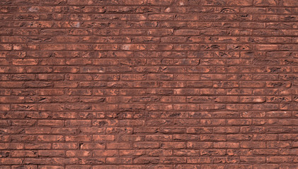 Fototapeta premium red brick wall texture background
