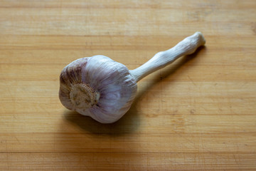 garlic