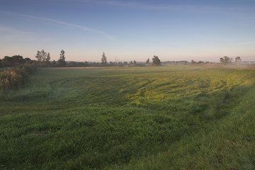 Fototapeta na wymiar Meadows during sunrise