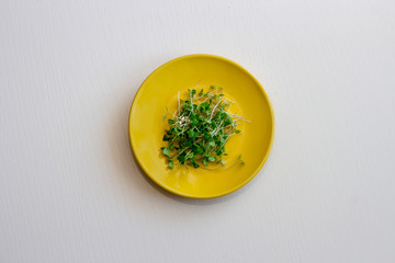Ceramic plate with microgreen arugula sprouts isolated on white wooden background. Top view, close-up. Microgreens, healthy eating concept.