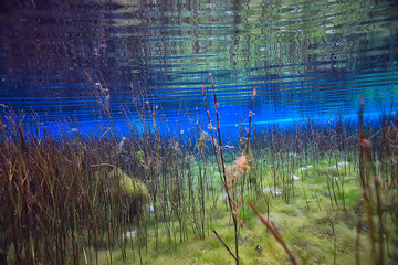 coral reef underwater landscape, lagoon in the warm sea, view under water ecosystem