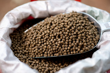 Small, light brown granule with a high nutritional value: milk powder and agricultural grains for piglets, fish.