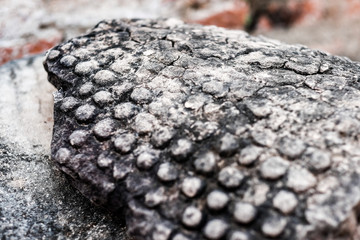 The head of the Buddha was broken from the head. Phra Nakhon Si Ayutthaya Province, Thailand.