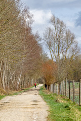 Chemin de campagne...