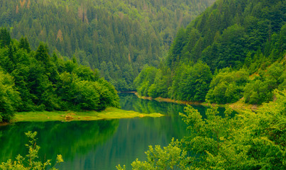 Zlatarsko lake in western Serbia, Europe. Water and forest in summer.