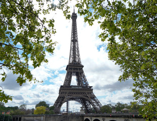 Fototapeta na wymiar Eiffel Tower from between the trees.