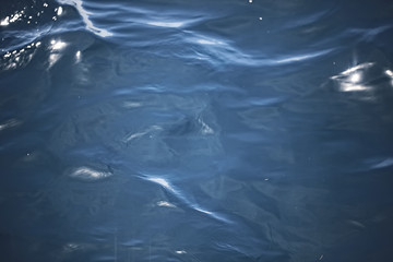 sea water abstract background waves / blue background, nature wet ocean water with ripples