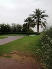 path in the park