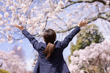 桜と会社員
