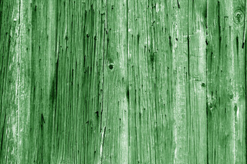 Fototapeta na wymiar Wall of vertical wooden weathered planks in green tone.