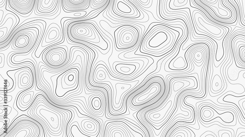 Poster topographic contour map on white background. vector grid map.