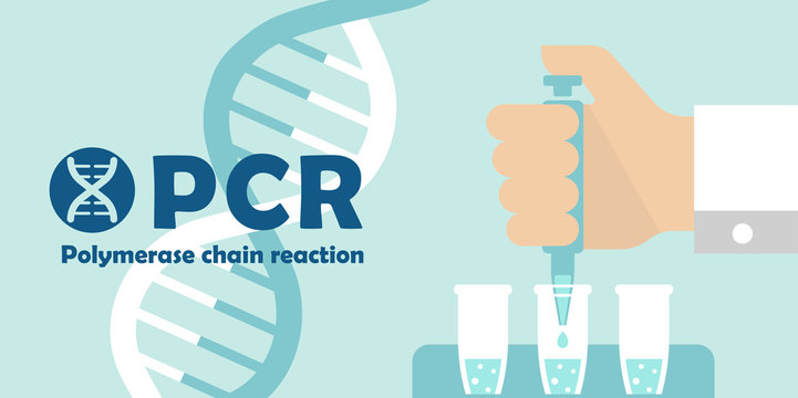 PCR (Polymerase chain reaction) test banner illustration / Novel coronavirus