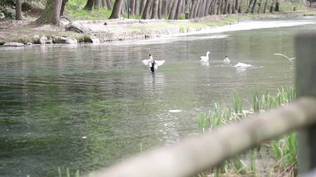 un giro al parco del grassano