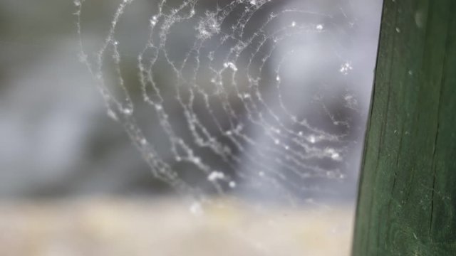 un giro al parco del grassano