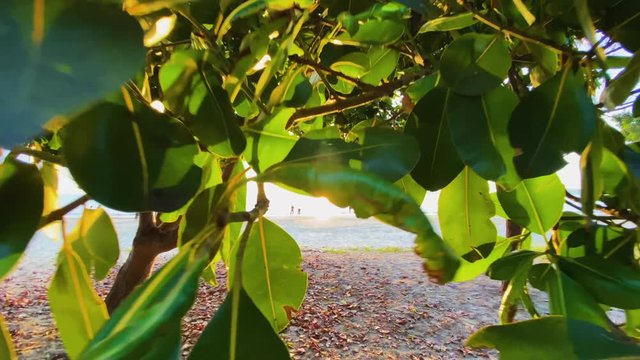 Pantai Tanjung Aru beach Kota Kinabalu, Malaysia
