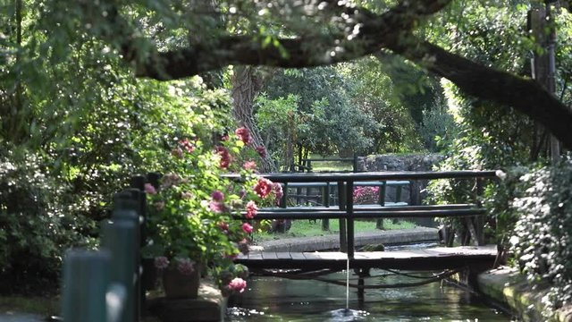 un giro al parco del grassano