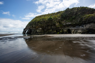 Obraz premium Tree sisters and elephant rock beach, North Island, New Zealand