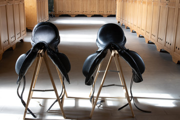 Two leather black horse saddles in modern minimalist style tack room. Luxurious equestrian equipment.