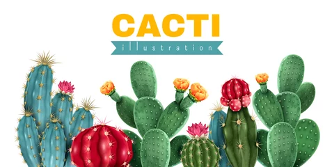 Foto op Canvas Cacti Colored Background © Macrovector