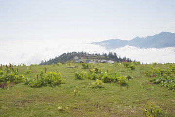 Fototapeta na wymiar Landscape in Gomis Mta village with the Georgian Mountains, village in Guria province