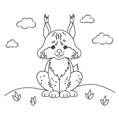 Lynx outline drawing. Coloring Page.