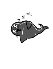 Sleeping Seal
