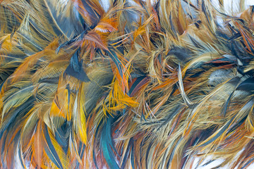 Beautiful brown feather texture pattern background