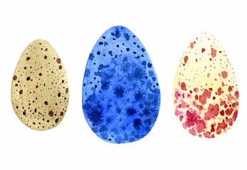 set of watercolor eggs of wild birds, vector