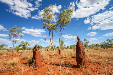 Outback Australia 