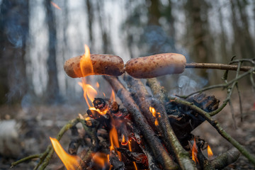 Sausages on a stick are fried on a fire in the forest close up