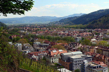 Fototapeta na wymiar Freiburg Osten im Frühling