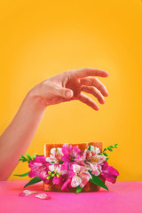 Spring sandwich color blocking, flower sandwich on a vivid yellow background with reaching hand