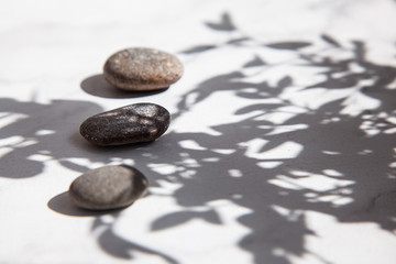 Fototapeta na wymiar Three sea stones in the shade of leaves and sunlight on a white floor. Summer minimalism.