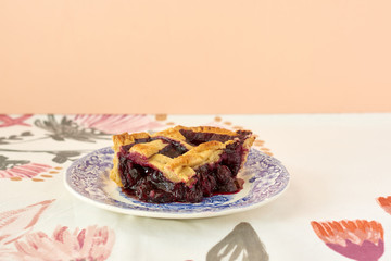 
Homemade blueberry pie on a white and blue plate.