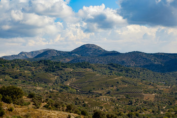 Mountain scenery with olive groves, Crete, Greece