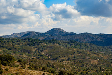 Fototapeta na wymiar Mountain scenery with olive groves, Crete, Greece