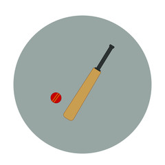 bat to play cricket. illustration for web and mobile design.