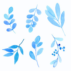 watercolor floral elements isolated on white, blue leaves and branches. vector