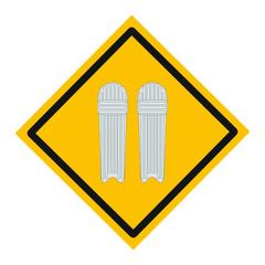 protector to play cricket. illustration for web and mobile design.