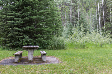wooden picnic table and benches on a green grassy meadow with trees